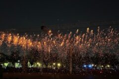 세종중앙공원에서 펼쳐지는 감동의 불꽃, 세종낙화축제