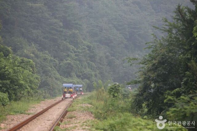 원주에서 꼭 가봐야 할 핫플! 자연과 문화가 어우러진 명소 3곳