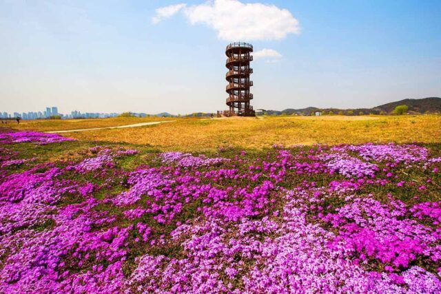“인기 많은 이유가 있네”… 자연과 함께하는 가족 주말 나들이 명소