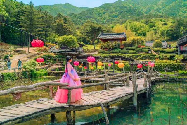 “딱 한 번만 가보세요”… 부모님도 너무 좋아하는 ‘무료 이색 명소’ 2곳