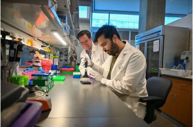 새로운 췌장암 검사법, ‘혈액 한 방울’로 조기 진단 가능