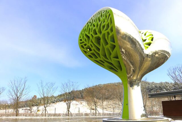 “여긴 한파가 와도 따뜻해요”… 아이들과 함께하기 좋은 주말 나들이 명소