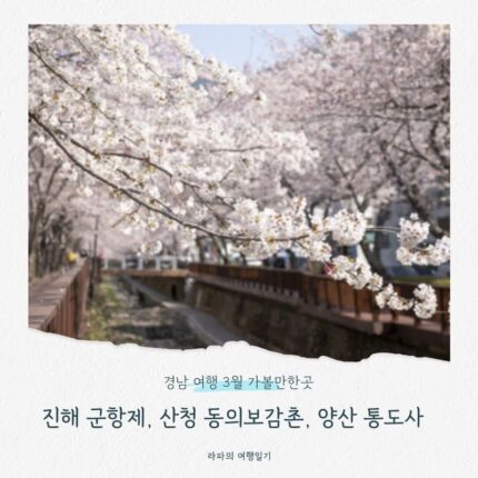 경남 여행 3월 가볼만한곳 ( 진해 군항제, 산청 동의보감촌, 양산 통도사)