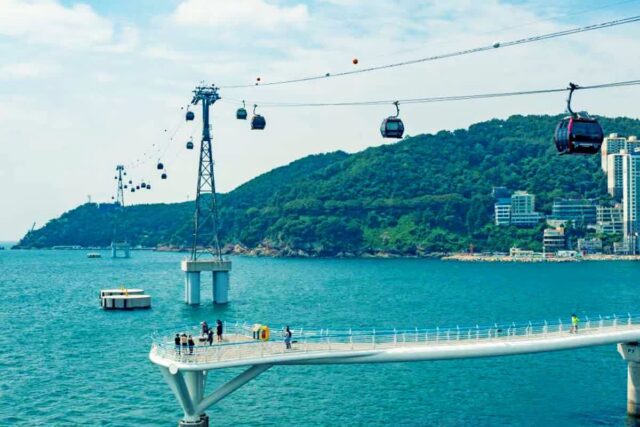 “여기가 국내 1호 해수욕장”… 케이블카·구름다리까지 유명한 해변 여행지