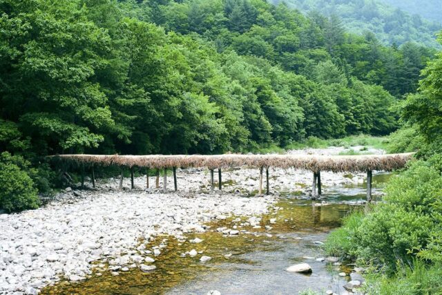 “방문객 증가율 전국 1위”… 164만 명이 선택한 인기 국립공원