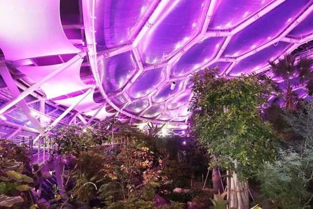 “낮과는 또 다른 분위기”… 밤에 더욱 빛나는 특별한 ‘야간 정원’