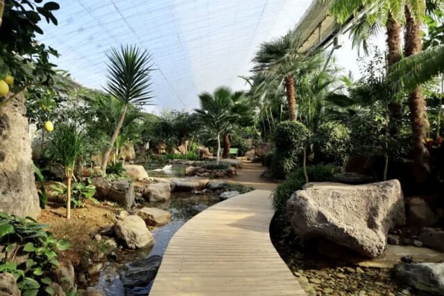 “색다른 경험 보장!”… 아이들과 즐기는 이색 실내 명소 2곳