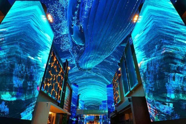 “단숨에 관광 명소 1위!”… 개장 1년 만에 500만 명 다녀간 국내 여행지