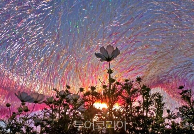 “와! 고래가 나타났다!”..축제장서 춤추는 고래 배경으로 인생샷 찰칵