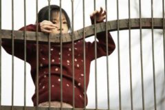 ‘여행자’부터 ‘눈길’까지…불꽃 같은 연기 선사한 김새론