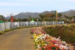 함평 여행, 자연과 축제가 어우러진 힐링 명소