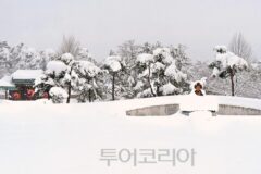 강릉 여행, 꼭 가봐야 할 명소 5선