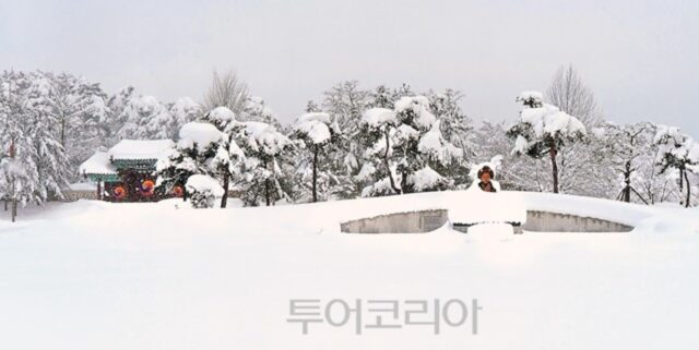 강릉 여행, 꼭 가봐야 할 명소 5선