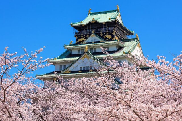 “벚꽃 명소 가기 겁난다”… 日대표 관광지 입장료 최대 1000% 인상에 ‘한숨’