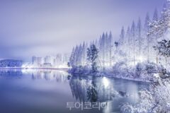 군산에서 놓치면 후회할 필수 방문지는 어디?