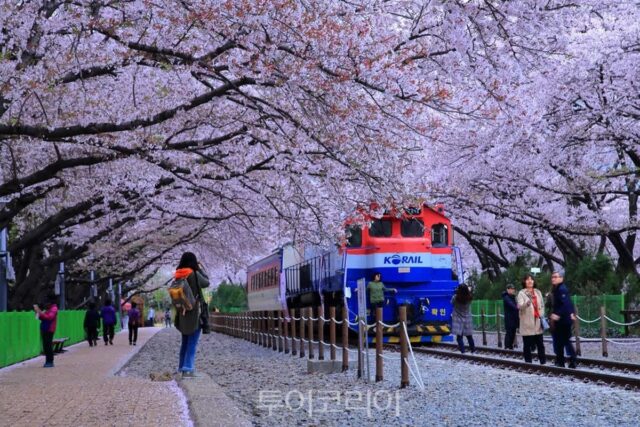 창원에서 즐기는 특별한 여행 코스와 필수 방문지
