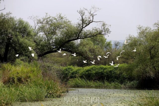 김해 가볼 만한 곳, 어디를 방문해야 할까?