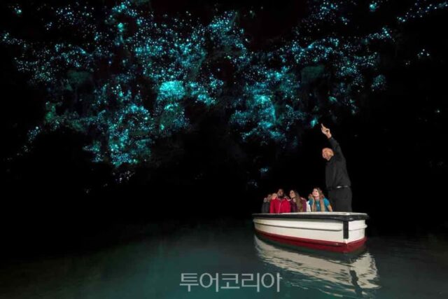 뉴질랜드에서 자연을 만끽할 수 있는 명소는?