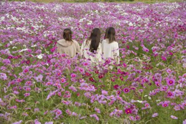 하나투어, 일본 소도시로 향하는 발길 ‘4배 폭증’…2025 트렌드는 일본 특유’여유’