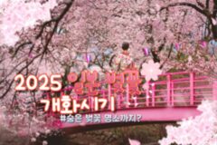 일본 벚꽃 개화시기 정보 2025 Ver. (+일본 벚꽃 명소 & 꿀팁!)