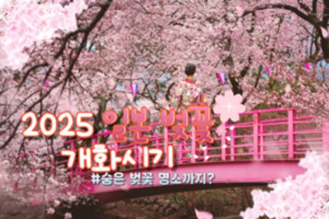 일본 벚꽃 개화시기 정보 2025 Ver. (+일본 벚꽃 명소 & 꿀팁!)