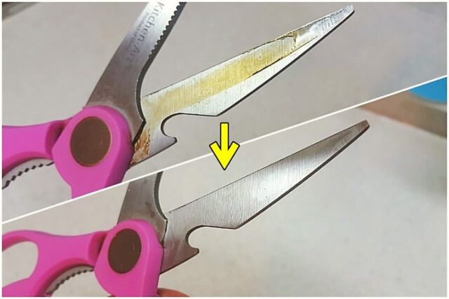 오래된 선크림 절대 버리지 마세요! ‘여기’ 발라주니 박수가 절로 나와요~