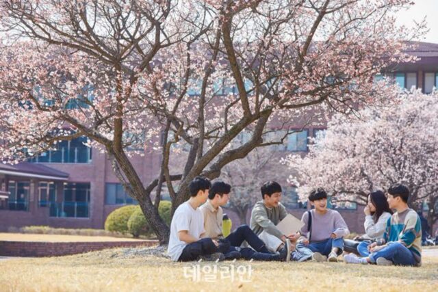 KAIST 올해 학사지원자 3년 전보다 61% 증가 …연평균 증가율 26.9%