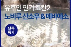 [료칸 프로모션] 개인탕 객실 료칸 2곳 특가 :: 노비루 산소우/메바에소