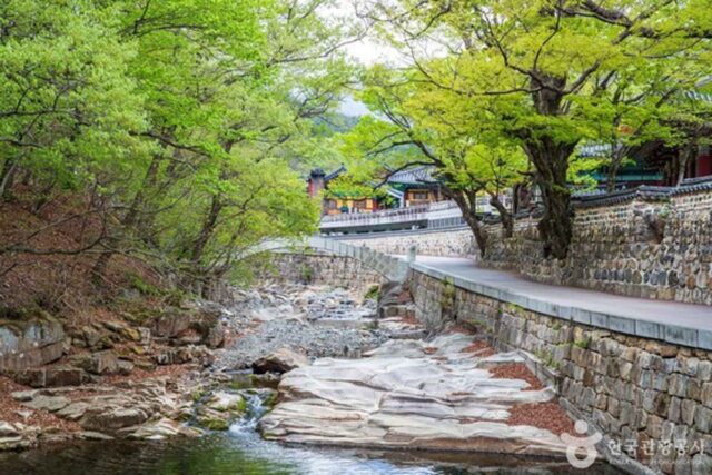 양산 가볼만한 곳, 가족·연인과 방문하기 좋은 코스는?