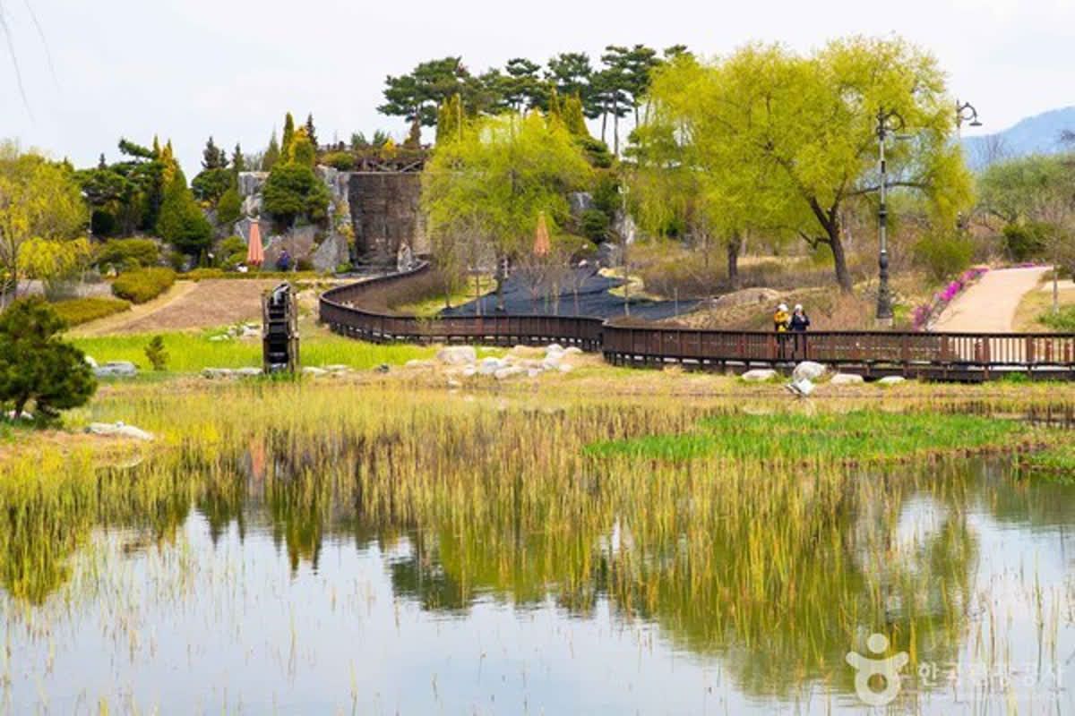 토요코인호텔 대전 인근, 방문해볼 만한 장소는? | 투어코리아