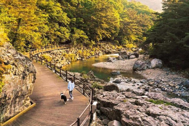 “2025년 꼭 걸어봐야 할 길”… 트레킹 전문가가 선정한 전국 3대 코스