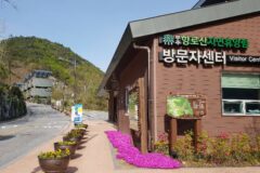 무주 향로산 자연휴양림, 자연 속 힐링의 명소
