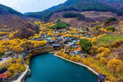 “엄마 취향 저격”… 4050세대가 반한 봄꽃 명소