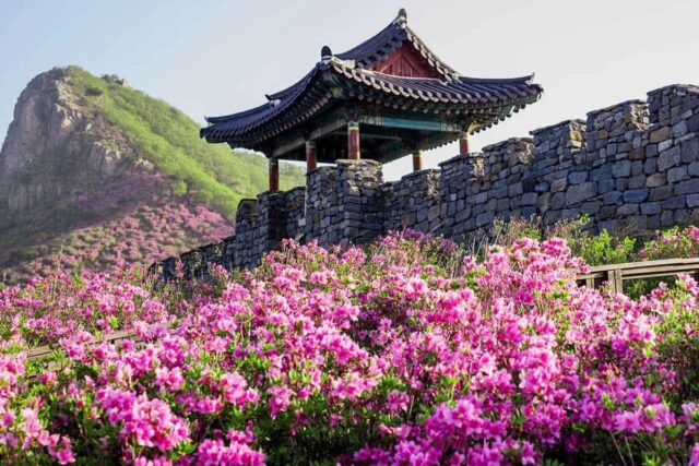 “치유의 도시라 불릴 만하다”… 인기 급상승 중인 웰니스 여행지