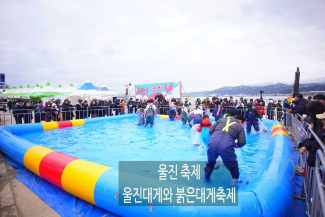 2025 울진대게와 붉은대게 축제 정보 가수 주차장 주변 가볼만한 곳