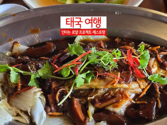 태국 치앙마이 여행 인타논 로얄 프로젝트 레스토랑