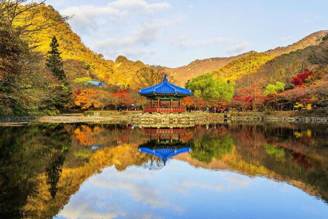 “유네스코 세계유산으로 지정될 만하네”… 100만 명 몰린 전남 대표 여행지