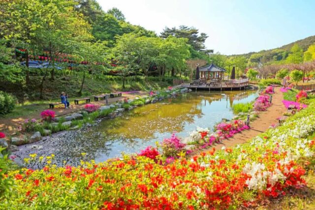 “여행도 하고 돈도 받는다고?”… 3월 놓치면 후회하는 특별한 혜택이 있는 여행지