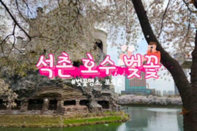 2025 서울 봄 여행지, 석촌호수 벚꽃 (+벚꽃 명소, 포토존)