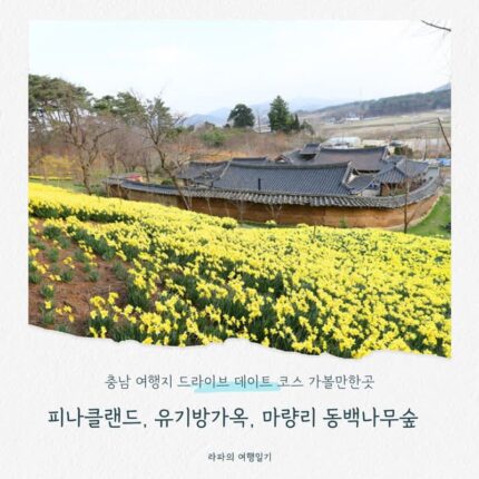 충남 여행지 드라이브 데이트 코스 가볼만한곳 3곳(피나클랜드, 유기방가옥, 마량리 동백나무