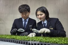 검역본부, 3월 한 달간 수입 묘목류 특벌검역 실시
