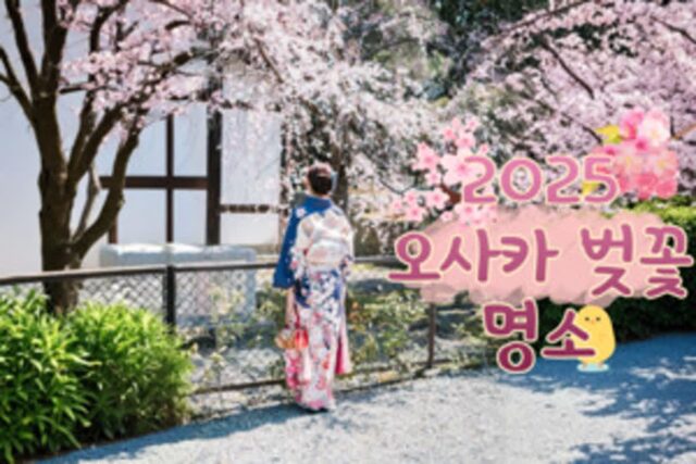 2025 오사카 벚꽃 축제, 봄 시즌 낭만을 폭발 시켜줄 오사카 벚꽃 (+벚꽃명소)