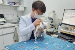 사천시, 저소득계층 반려동물 진료비 최대 20만 원 지원