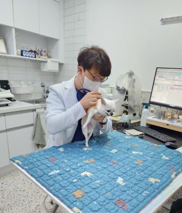 사천시, 저소득계층 반려동물 진료비 최대 20만 원 지원