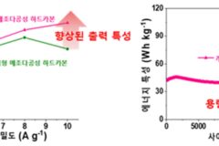 ‘리튬’ 대체할 보급형 배터리 음극재 개발