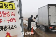 AI 특별방역대책기간 내달 14일까지 2주 연장