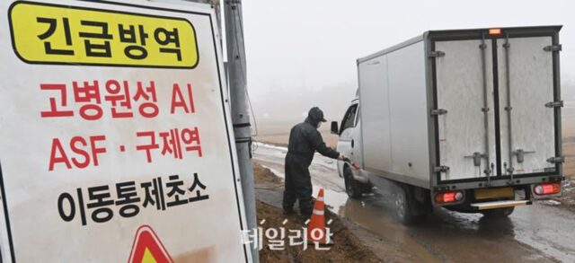 AI 특별방역대책기간 내달 14일까지 2주 연장