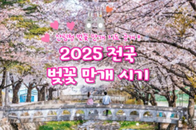 벚꽃 만개 시기, 2025년 봄 꽃 개화 예측지도로 알아 보는 벚꽃 명소