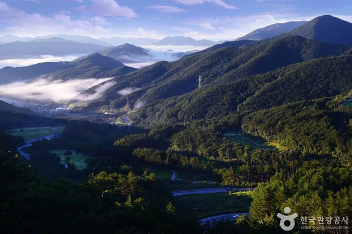태백산 여행, 꼭 가봐야 할 명소와 숨은 보석은? | 투어코리아