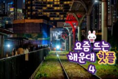 해운대 놀거리 베스트 4 천연 온천도 즐기고 오션뷰 모노레일도 즐기자!(+선셋 요트투어까지?)
